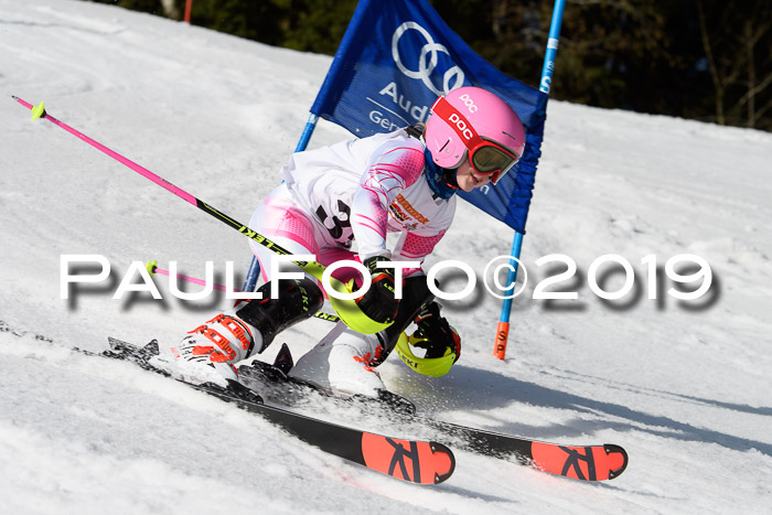 DSV Deutscher Schülercup U12 Finale 2019, Slalom Cross 03.03.2019