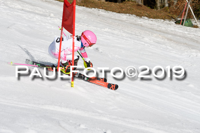 DSV Deutscher Schülercup U12 Finale 2019, Slalom Cross 03.03.2019