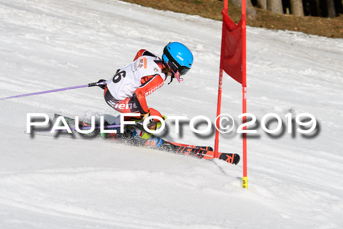 DSV Deutscher Schülercup U12 Finale 2019, Slalom Cross 03.03.2019