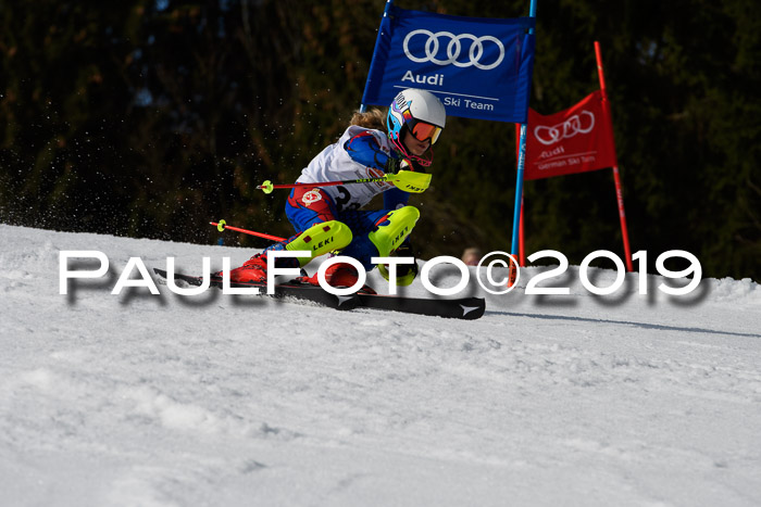 DSV Deutscher Schülercup U12 Finale 2019, Slalom Cross 03.03.2019