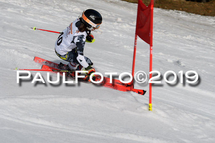 DSV Deutscher Schülercup U12 Finale 2019, Slalom Cross 03.03.2019