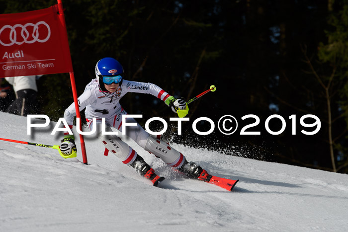 DSV Deutscher Schülercup U12 Finale 2019, Slalom Cross 03.03.2019