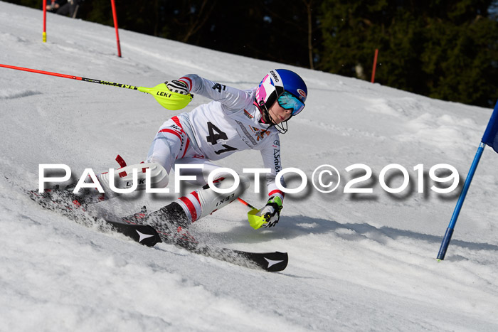 DSV Deutscher Schülercup U12 Finale 2019, Slalom Cross 03.03.2019