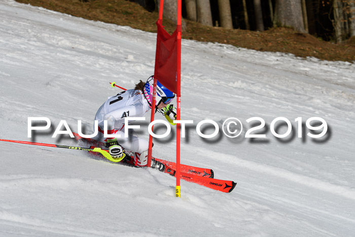 DSV Deutscher Schülercup U12 Finale 2019, Slalom Cross 03.03.2019