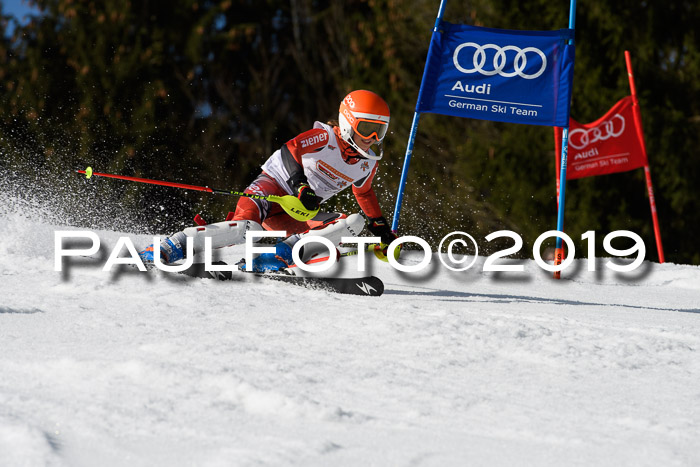 DSV Deutscher Schülercup U12 Finale 2019, Slalom Cross 03.03.2019