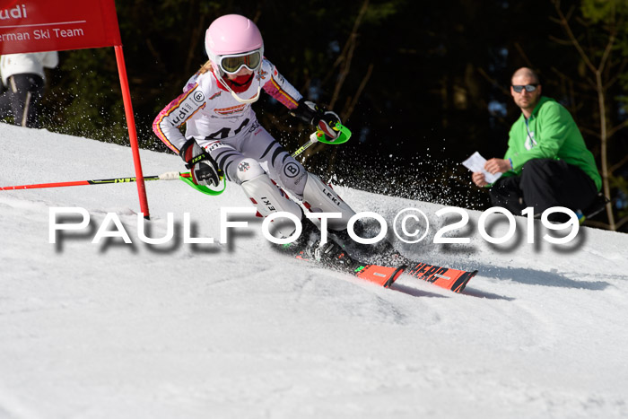 DSV Deutscher Schülercup U12 Finale 2019, Slalom Cross 03.03.2019