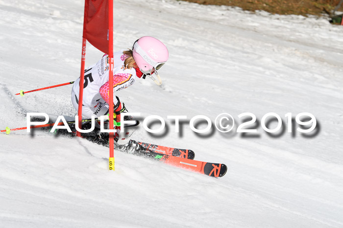 DSV Deutscher Schülercup U12 Finale 2019, Slalom Cross 03.03.2019