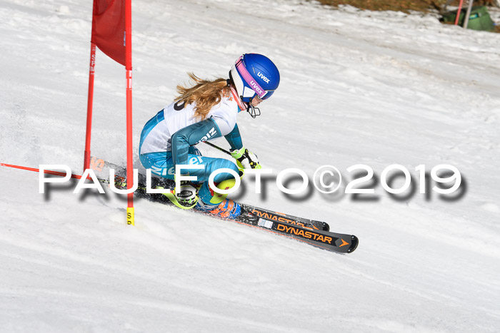 DSV Deutscher Schülercup U12 Finale 2019, Slalom Cross 03.03.2019