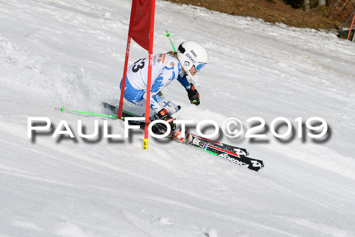 DSV Deutscher Schülercup U12 Finale 2019, Slalom Cross 03.03.2019