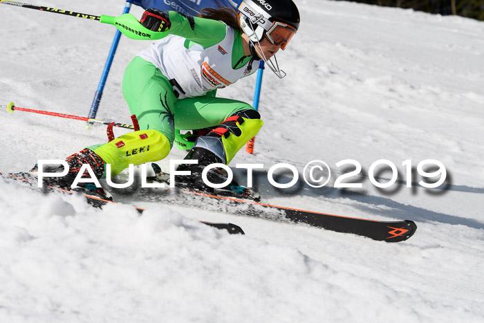 DSV Deutscher Schülercup U12 Finale 2019, Slalom Cross 03.03.2019