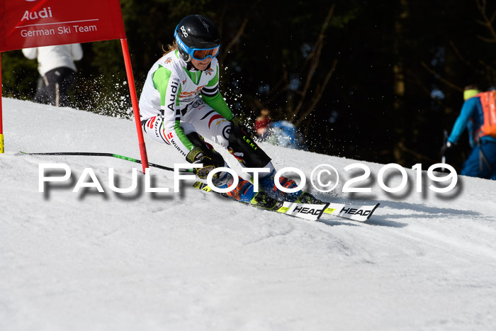 DSV Deutscher Schülercup U12 Finale 2019, Slalom Cross 03.03.2019
