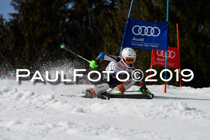 DSV Deutscher Schülercup U12 Finale 2019, Slalom Cross 03.03.2019