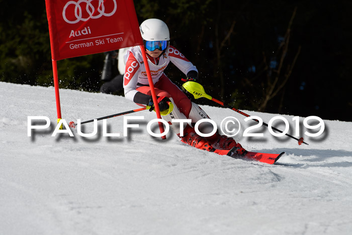 DSV Deutscher Schülercup U12 Finale 2019, Slalom Cross 03.03.2019