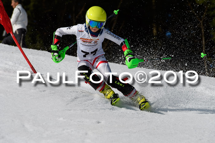 DSV Deutscher Schülercup U12 Finale 2019, Slalom Cross 03.03.2019