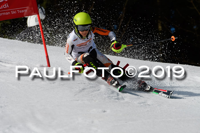 DSV Deutscher Schülercup U12 Finale 2019, Slalom Cross 03.03.2019