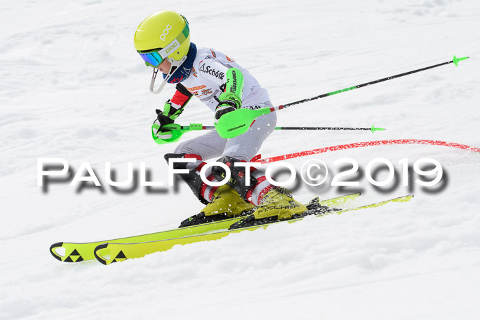 DSV Deutscher Schülercup U12 Finale 2019, Slalom Cross 03.03.2019