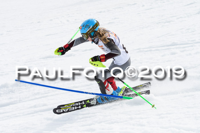 DSV Deutscher Schülercup U12 Finale 2019, Slalom Cross 03.03.2019