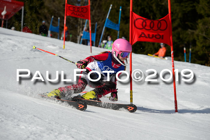 DSV Deutscher Schülercup Finale U12 Team PSL 04.03.2019