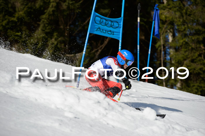 DSV Deutscher Schülercup Finale U12 Team PSL 04.03.2019