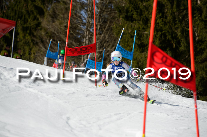 DSV Deutscher Schülercup Finale U12 Team PSL 04.03.2019