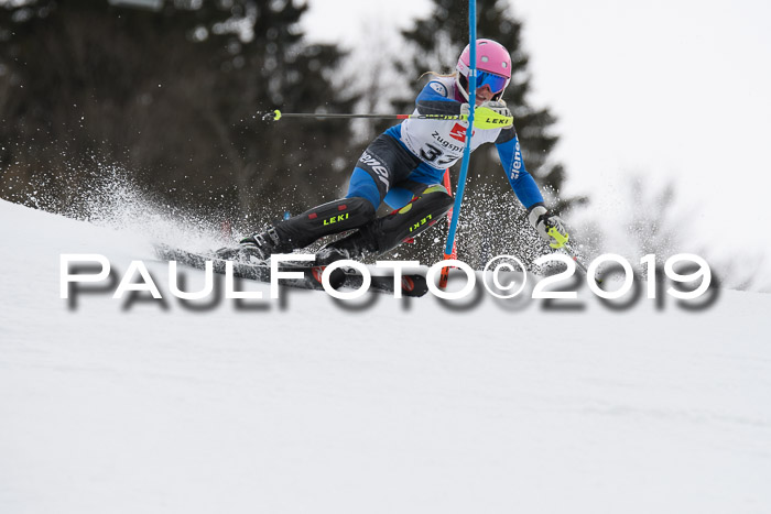 8. BZB CUP SL, 06.03.2019, Gudiberg