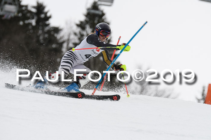 8. BZB CUP SL, 06.03.2019, Gudiberg