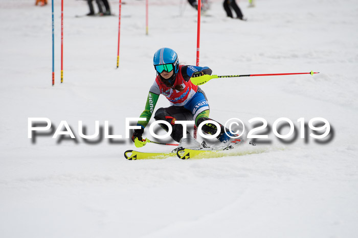 8. BZB CUP SL, 06.03.2019, Gudiberg