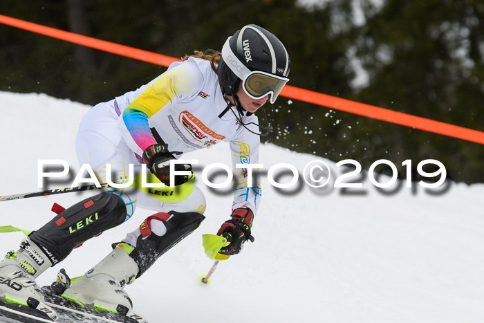 DSV Schülercup U14 Finale Slalom 09.03.2019