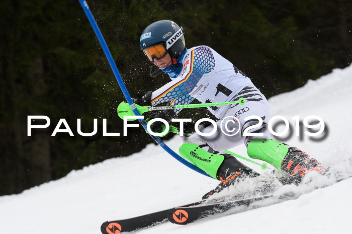 DSV Schülercup U14 Finale Slalom 09.03.2019