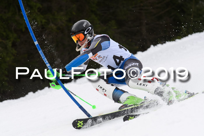 DSV Schülercup U14 Finale Slalom 09.03.2019