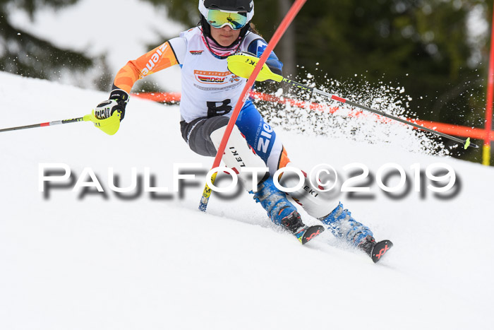 DSV Schülercup U14 Finale Slalom 09.03.2019