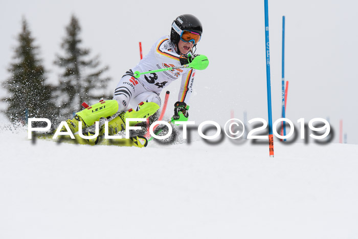 DSV Schülercup U14 Finale Slalom 09.03.2019