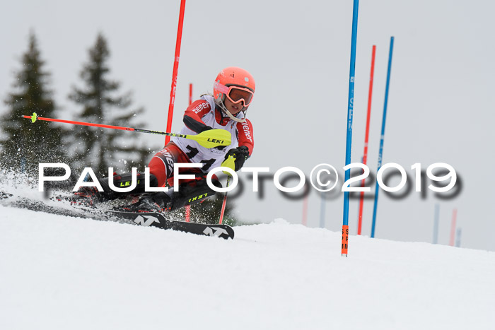 DSV Schülercup U14 Finale Slalom 09.03.2019