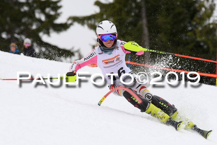 DSV Schülercup U14 Finale Slalom 09.03.2019