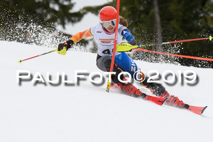 DSV Schülercup U14 Finale Slalom 09.03.2019