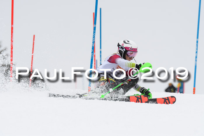 DSV Schülercup U14 Finale Slalom 09.03.2019