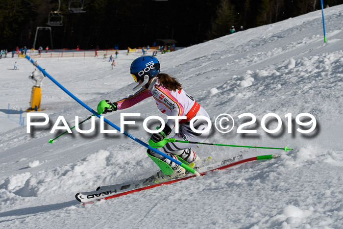 Dt. Schülercup U16 Finale,Slalom, 09.03.2019, Siegerehrungen DSC Technik