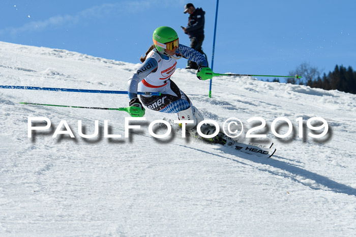 Dt. Schülermeisterschaft Slalom 16.03.2019