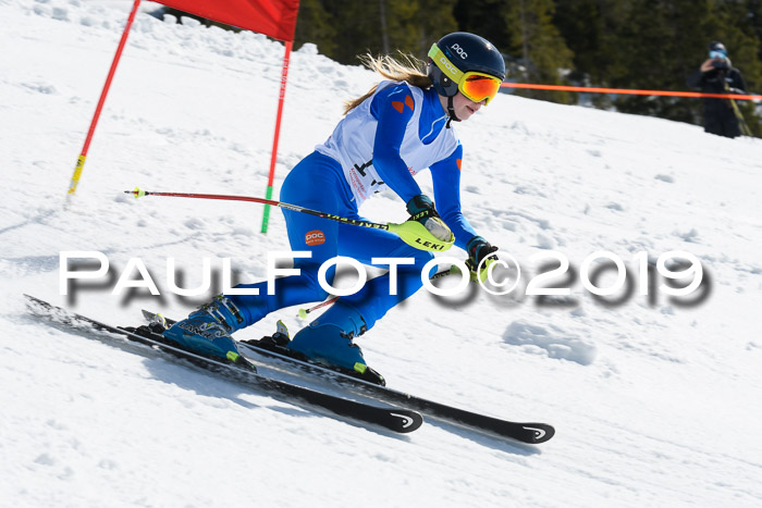 21. SVM Regionalcup-Finale 2019, Kinder, Schüler, Jugend, Erwachsene + Siegerehrungen, 18.03.2018