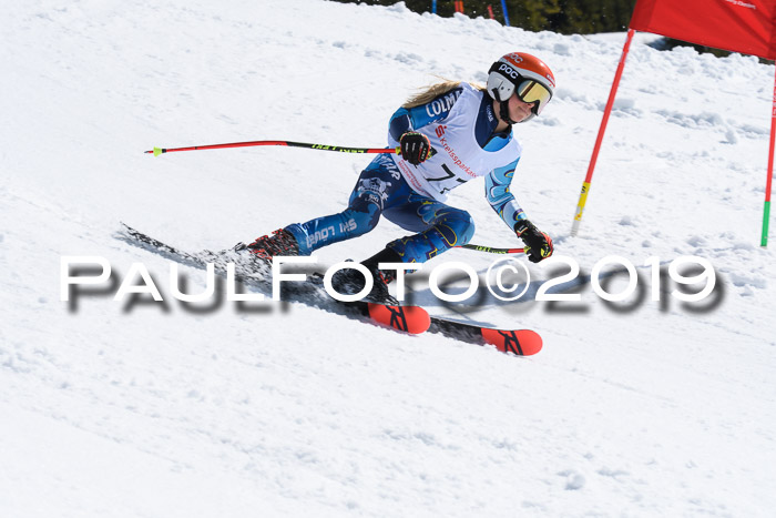 21. SVM Regionalcup-Finale 2019, Kinder, Schüler, Jugend, Erwachsene + Siegerehrungen, 18.03.2018