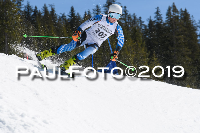 21. SVM Regionalcup-Finale 2019, Kinder, Schüler, Jugend, Erwachsene + Siegerehrungen, 18.03.2018