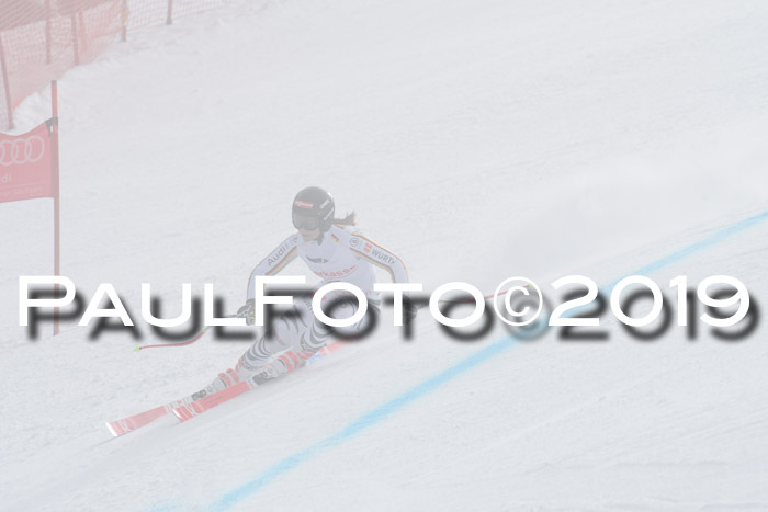 FIS, Int. Dt. Meisterschaft Abfahrt, Training, Damen + Herren, 19.03.2019
