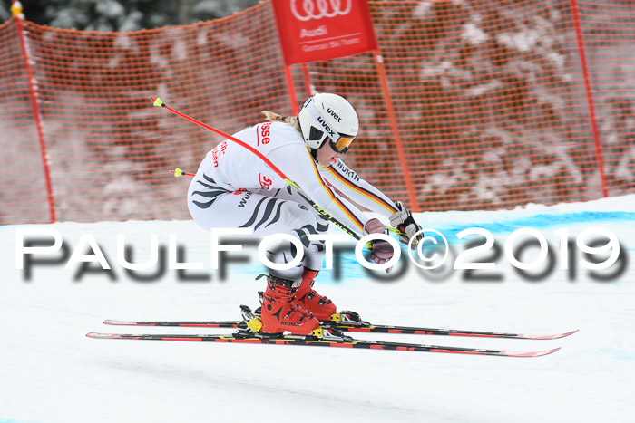 FIS, Int. Dt. Meisterschaft Abfahrt, Training, Damen + Herren, 19.03.2019