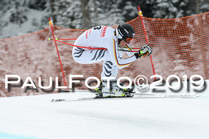 FIS, Int. Dt. Meisterschaft Abfahrt, Training, Damen + Herren, 19.03.2019