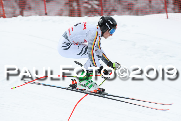 FIS, Int. Dt. Meisterschaft Abfahrt, Training, Damen + Herren, 19.03.2019