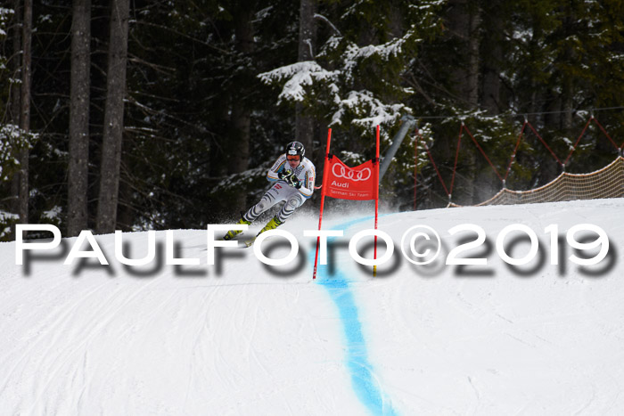 FIS, Int. Dt. Meisterschaft Abfahrt, Training, Damen + Herren, 19.03.2019