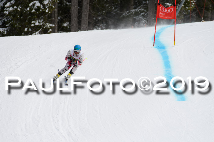 FIS, Int. Dt. Meisterschaft Abfahrt, Training, Damen + Herren, 19.03.2019