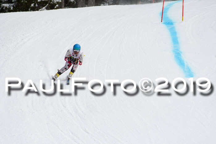 FIS, Int. Dt. Meisterschaft Abfahrt, Training, Damen + Herren, 19.03.2019