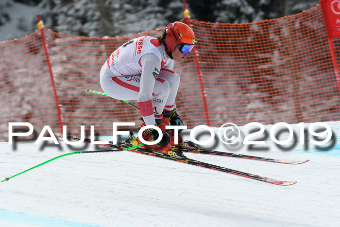 FIS, Int. Dt. Meisterschaft Abfahrt, Training, Damen + Herren, 19.03.2019