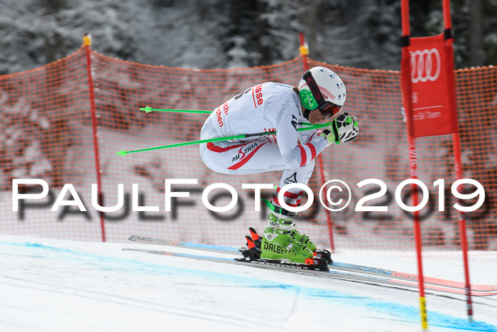 FIS, Int. Dt. Meisterschaft Abfahrt, Training, Damen + Herren, 19.03.2019